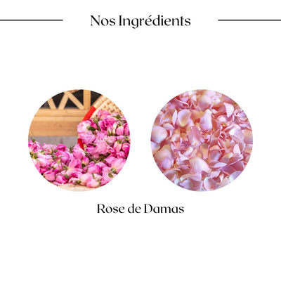 Eau Florale de Rose - 100% pure et biologique - OlieNeela